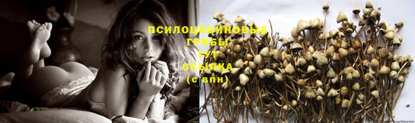 амф Алзамай